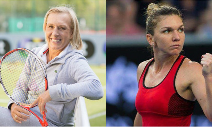 navratilova halep