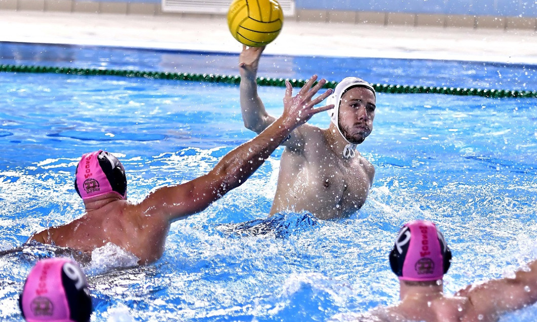 Steaua polo
