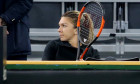 halep dulgheru fed cup