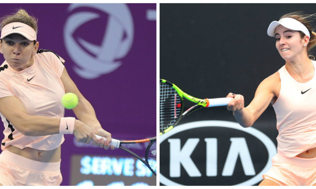 colaj halep bellis