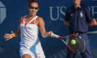 buzarnescu