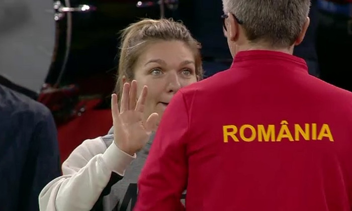 halep segarceanu