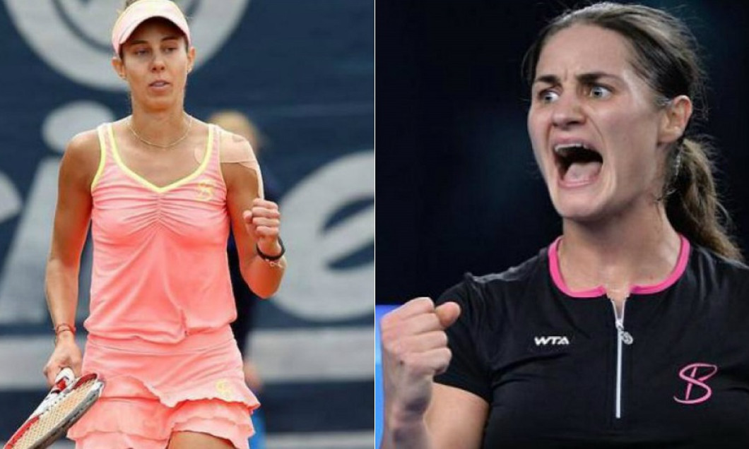buzarnescu niculescu