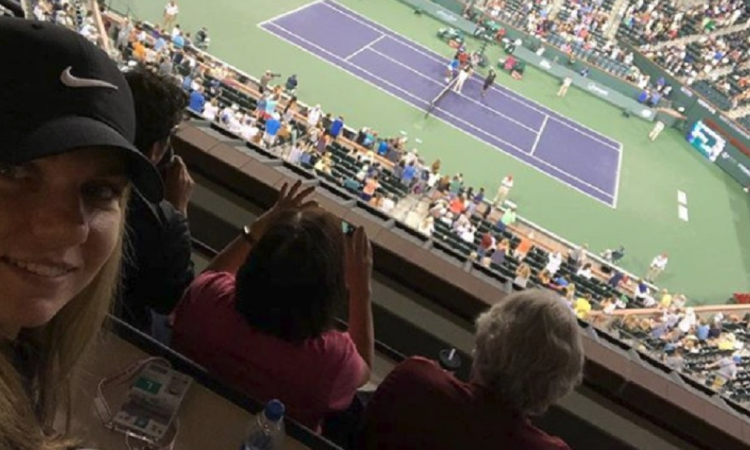 halep surorile williams