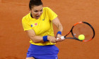 TENIS: SIMONA HALEP VS PATTY SCHNYDER, FED CUP ROMANIA - ELVETIA