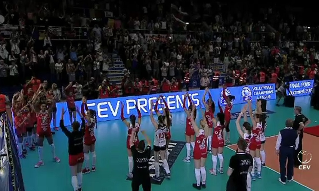 fani volei