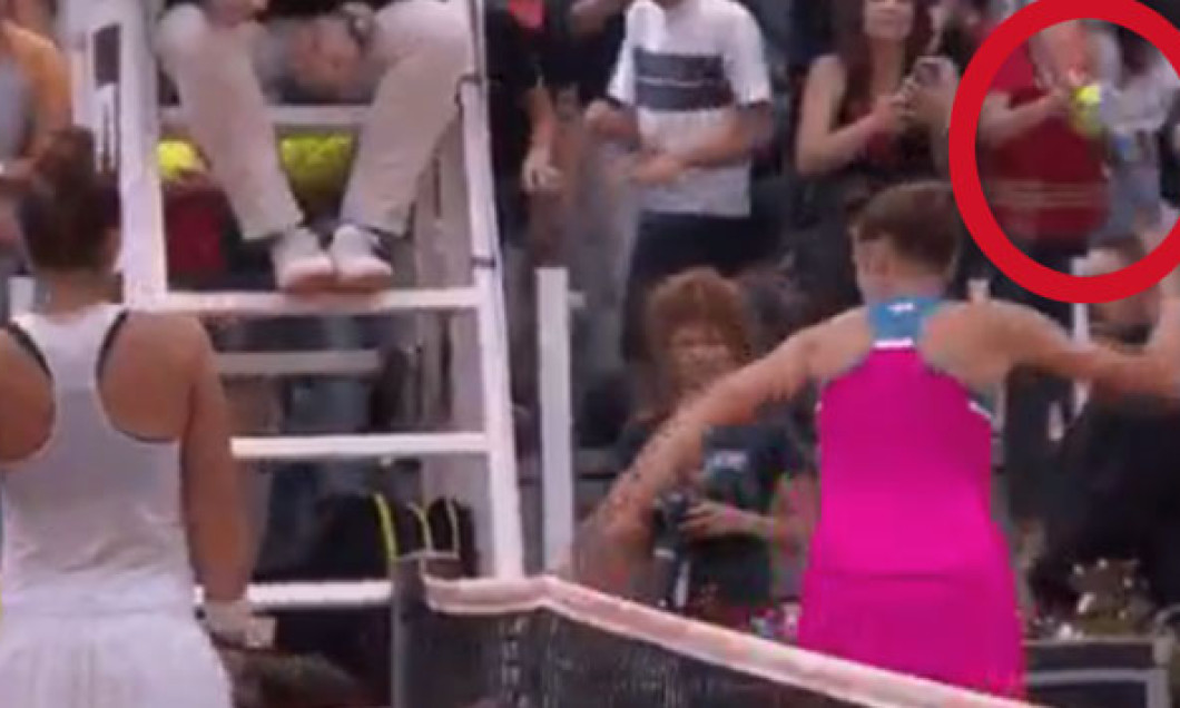 pliskova-bun