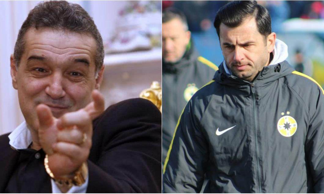 dica gigi