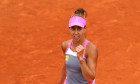 buzarnescu