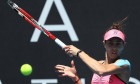 buzarnescu