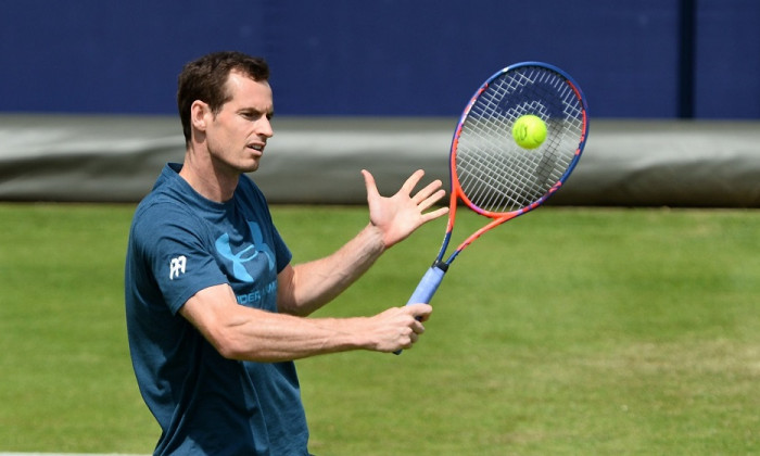 andy murray