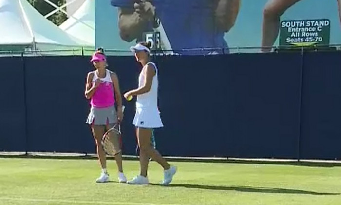 buzarnescu begu