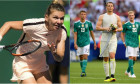 halep germania