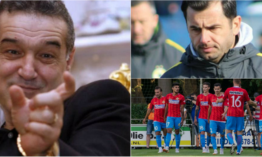 colaj gigi dica steaua