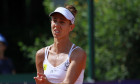 Buzarnescu