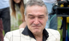 becali lacrimi