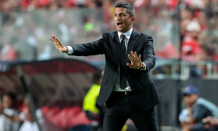 razvan lucescu