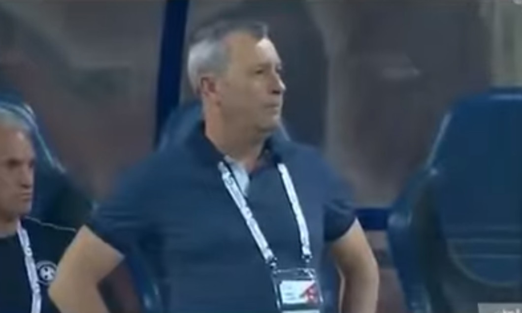 mircea rednic