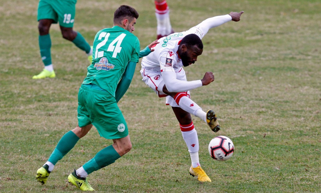 gregory tade dinamo