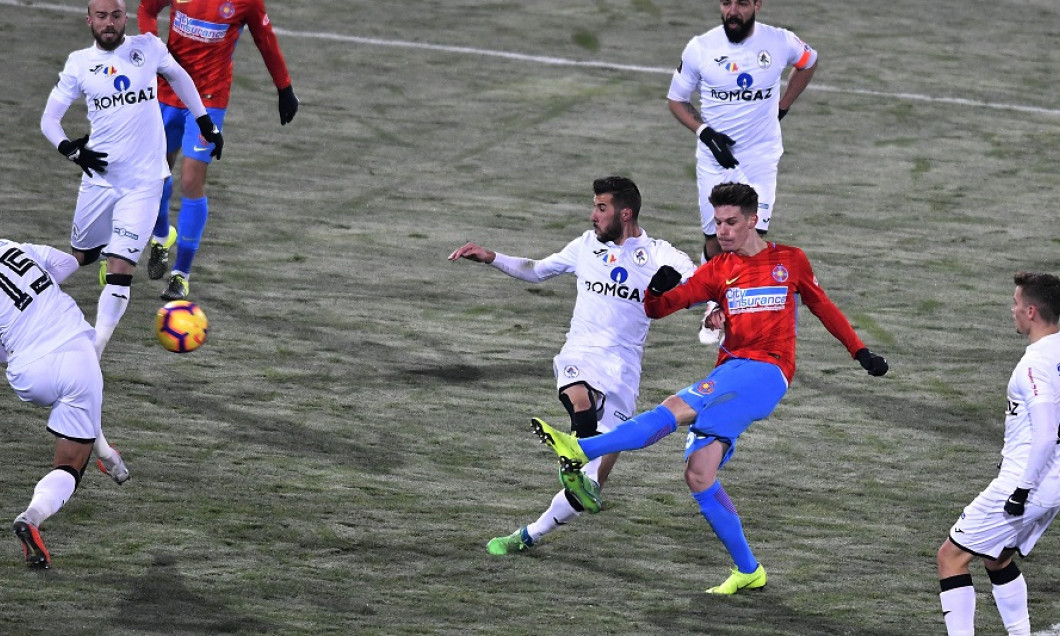 FOTBAL:FCSB-GAZ METAN MEDIAS, LIGA 1 BETANO (2.12.2018)