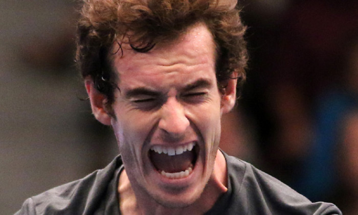 andy murray