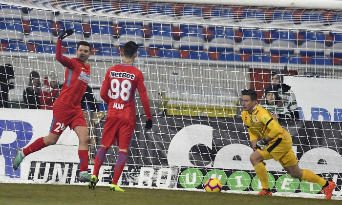 FOTBAL:FC BOTOSANI-FCSB, LIGA 1 BETANO (16.12.2018)