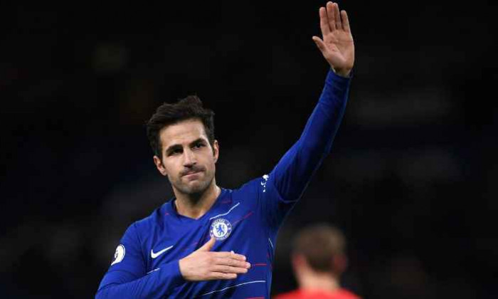 cesc fabregas