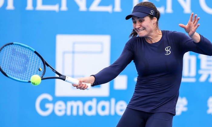 monica niculescu