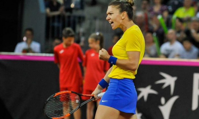 Halep FedCup 2018