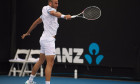 Marius Copil