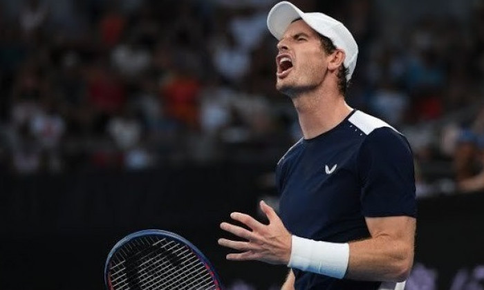 andy murray