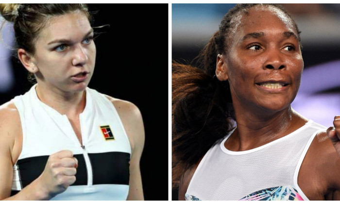 collage halep