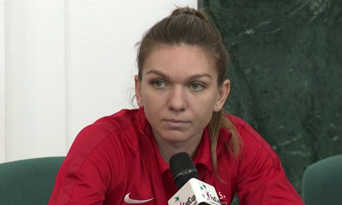 halep fed cup