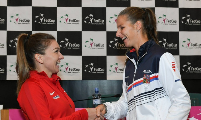 halep-pliskova