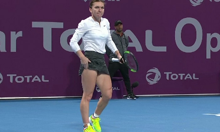 halep nervi svitolina