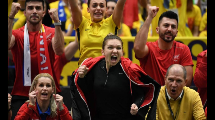 bucurie simona halep