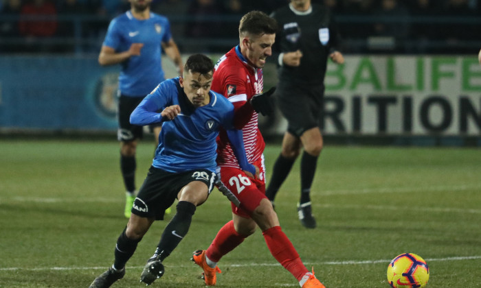 FOTBAL:FC VIITORUL-FC BOTOSANI, LIGA 1 BETANO (3.03.2019)