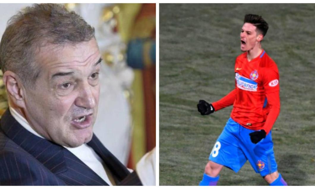 gigi becali dennis man
