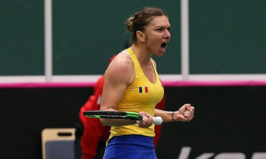 halep fed cup