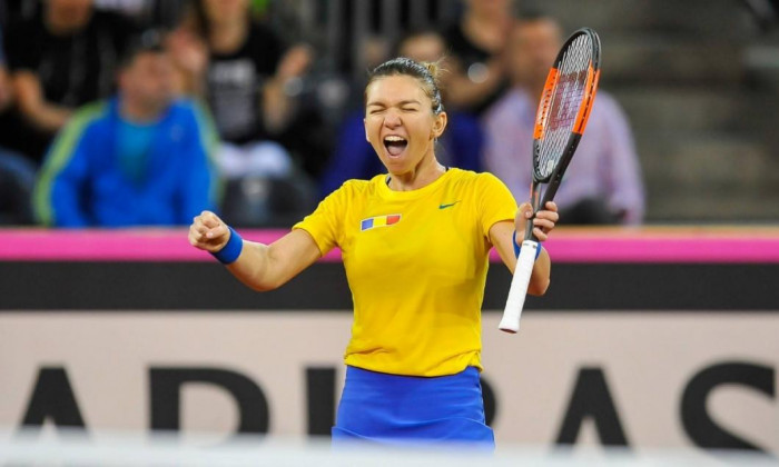 halep fed cup