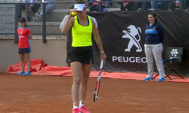 miki buzarnescu roma