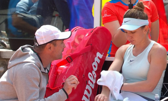 simona halep-daniel dobre