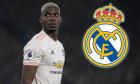 paul pogba