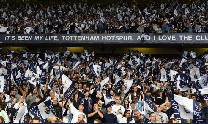 fani spurs