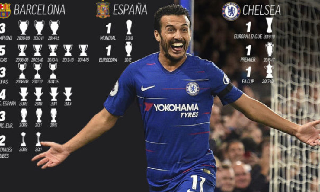 infografie pedro