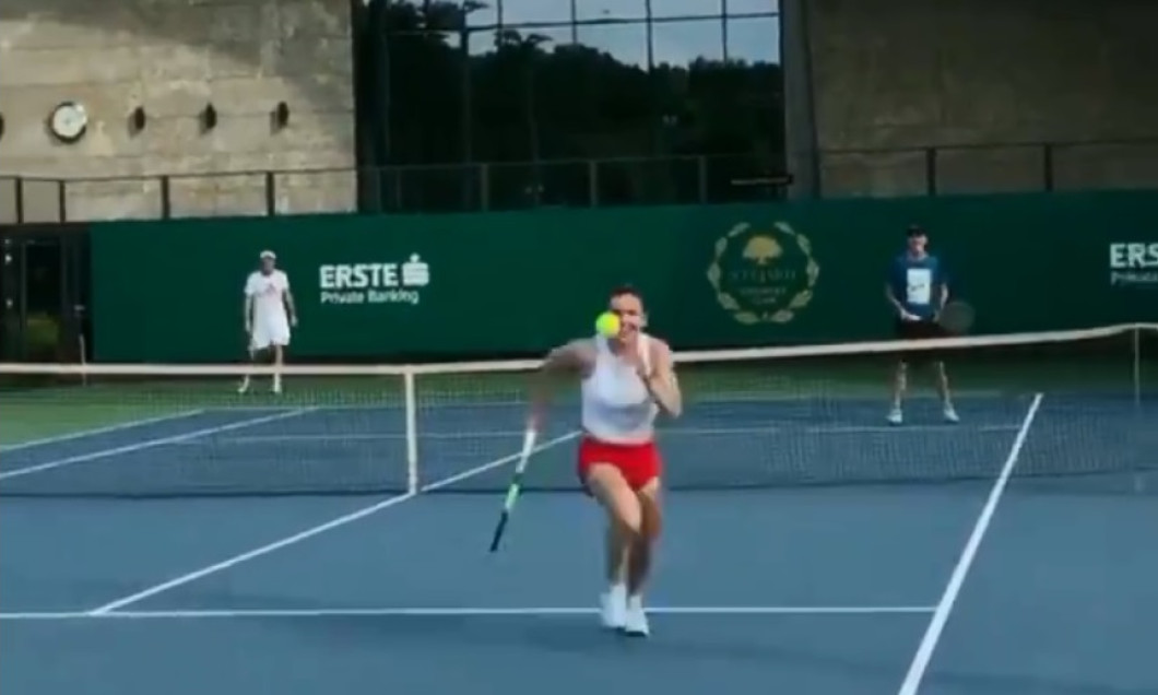simona halep stejarii