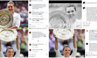 collage fed cup
