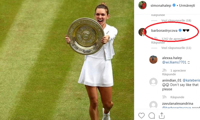 halep postare strycova