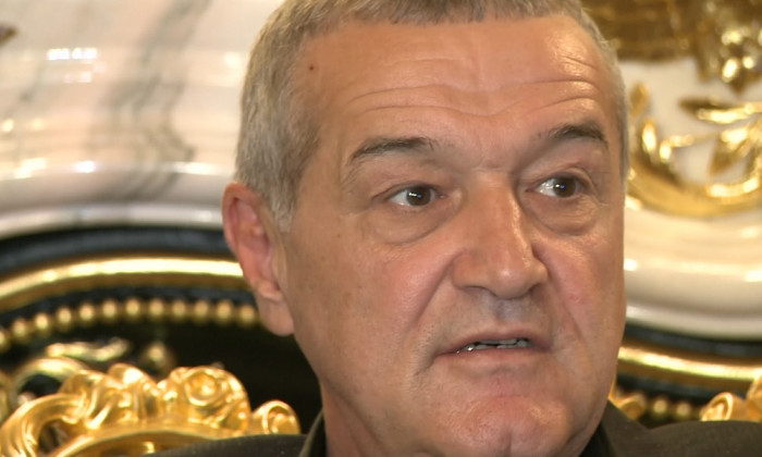 gigi becali palat