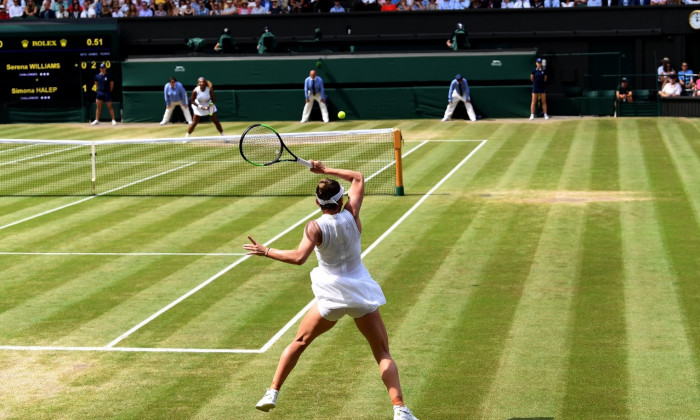 simona halep